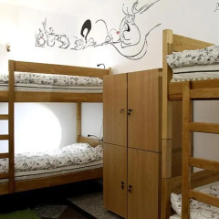 The Cherry Hostel Кровать в общем номере с двухъярусной кроватью фото 9