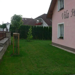 Отель Vila Heda Чехия, Франтишкови-Лазне - отзывы, цены и фото номеров - забронировать отель Vila Heda онлайн фото 6