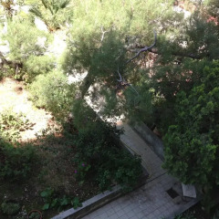 Отель L'Azur Promenade