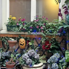 Отель Amsterdam Bed and Breakfast Barangay Нидерланды, Амстердам - отзывы, цены и фото номеров - забронировать отель Amsterdam Bed and Breakfast Barangay онлайн фото 2