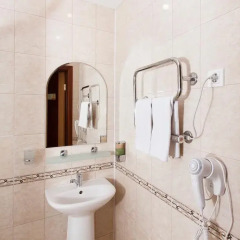 AMAKS Конгресс-отель 3* Стандартный номер с различными типами кроватей фото 7