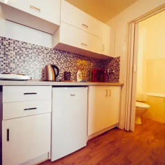 Апартаменты Bright Studio Kourimska в номере фото 2