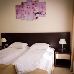 Отель Inn Ordzhonikidze 8а Стандартный номер фото 14