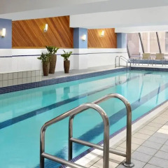 Отель Sheraton Ottawa Hotel Канада, Оттава - отзывы, цены и фото номеров - забронировать отель Sheraton Ottawa Hotel онлайн бассейн фото 2