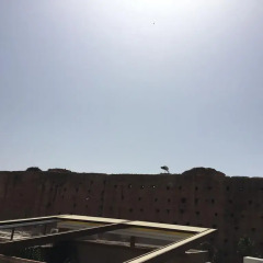 Отель Riad Atlas Toyours Марокко, Марракеш - отзывы, цены и фото номеров - забронировать отель Riad Atlas Toyours онлайн