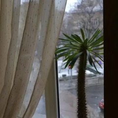Апартаменты НА ДОБУ 3* Улучшенный номер фото 10