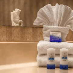 Отель Best Western Plus Rama Inn & Suites 2* Стандартный номер с различными типами кроватей фото 4