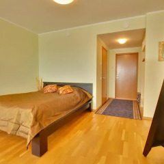 Апартаменты Daily Apartments - Viru Penthouse Люкс с различными типами кроватей фото 5