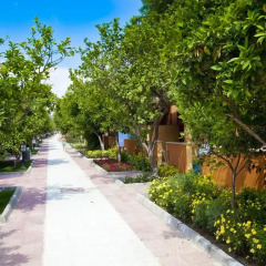 Hotel Ozlem Garden - All Inclusive фото 11