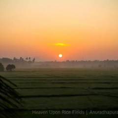 Отель Heaven Upon Rice Fields Шри-Ланка, Анурадхапура - отзывы, цены и фото номеров - забронировать отель Heaven Upon Rice Fields онлайн приотельная территория