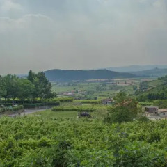 Отель B&B Monte Altore Италия, Региональный парк Colli Euganei - отзывы, цены и фото номеров - забронировать отель B&B Monte Altore онлайн