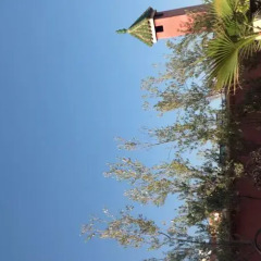 Отель Riad Harmattan Марокко, Марракеш - отзывы, цены и фото номеров - забронировать отель Riad Harmattan онлайн фото 10