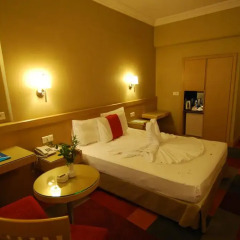 SV Business Hotel Diyarbakir 4* Стандартный номер фото 2