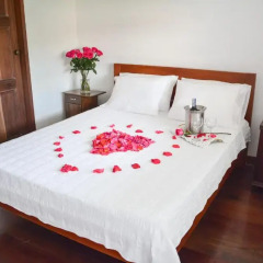 Casa Hotel Jardin Azul 3* Стандартный номер с различными типами кроватей фото 5