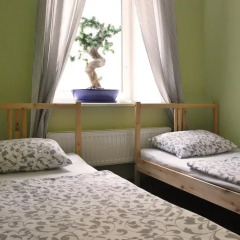 Хостел LikeHome Санкт-Петербург детские мероприятия фото 2