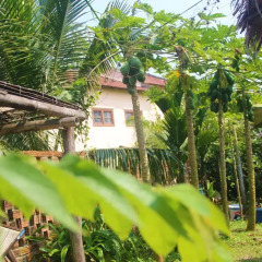 Отель Dragon Sea Homestay Хойан фото 7