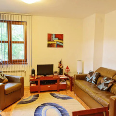 Отель Mountain View Aparthotel Банско комната для гостей фото 4