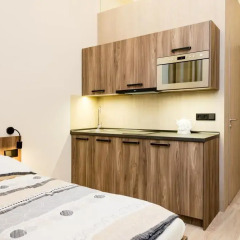 Апартаменты Ostrovni Apartment Прага в номере