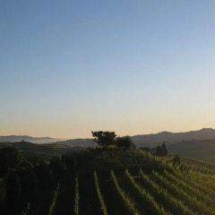 Отель Holiday Home Cannubi in Barolo Здание Barolo фото 4