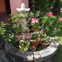 Отель Coco House Samui Самуи