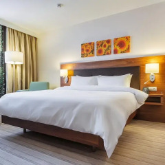 Гостиница Hilton Garden Inn Краснодар (Хилтон Гарден Инн Краснодар) 4* Стандартный номер с различными типами кроватей фото 3