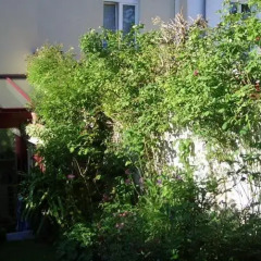 Отель B&B Chambre d'Orfeo Бельгия, Брюссель - отзывы, цены и фото номеров - забронировать отель B&B Chambre d'Orfeo онлайн