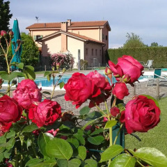 Отель Agriturismo Santa Barbara Италия, Мира - отзывы, цены и фото номеров - забронировать отель Agriturismo Santa Barbara онлайн фото 8