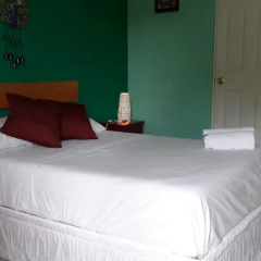 Отель Mansion Giahn Bed & Breakfast Мексика, Канкун - отзывы, цены и фото номеров - забронировать отель Mansion Giahn Bed & Breakfast онлайн комната для гостей фото 10