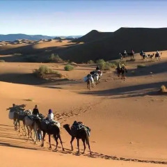 Отель Le Sauvage Noble Марокко, Загора - отзывы, цены и фото номеров - забронировать отель Le Sauvage Noble онлайн пляж