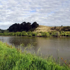 Отель Whanganui River Top 10 Holiday Park 3* Бунгало с различными типами кроватей