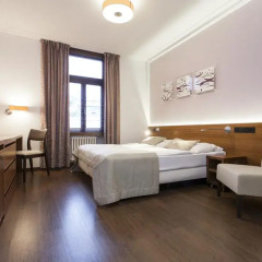Hotel Carol 3* Стандартный номер с разными типами кроватей