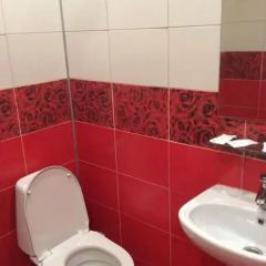 Мини-Отель Maxx Royal Стандартный номер с различными типами кроватей фото 6