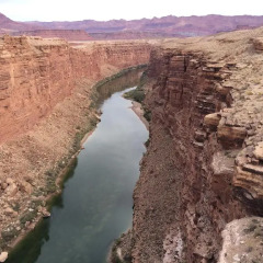 Отель Americas Best Value Inn Williams/Grand Canyon