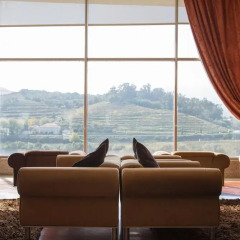 Отель Regua Douro Португалия, Пезу-да-Регуа - отзывы, цены и фото номеров - забронировать отель Regua Douro онлайн бассейн фото 3