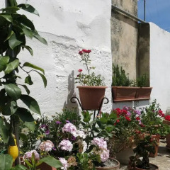 Отель Volver B&B Лечче фото 2