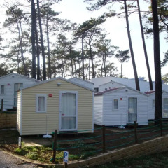 Отель Parque de Campismo Orbitur Sao Pedro De Moel 3* Стандартный номер разные типы кроватей фото 3