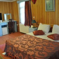 Ulasan Hotel 4* Стандартный номер с двуспальной кроватью фото 4