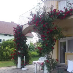 Отель Flora Villa Хевиз фото 5