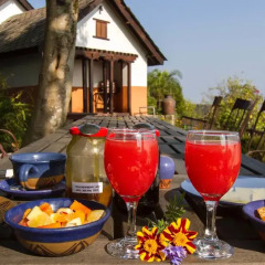 Отель Namobuddha Resort Непал, Бхактапур - отзывы, цены и фото номеров - забронировать отель Namobuddha Resort онлайн питание