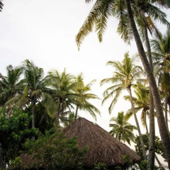 Отель Castaway Island Fiji 4* Стандартный номер с различными типами кроватей фото 17