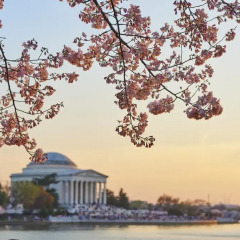 Отель Mandarin Oriental, Washington D.C. 5* Номер Делюкс с различными типами кроватей фото 10