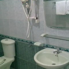 Отель Ha Thanh Hotel Вьетнам, Вунгтау - отзывы, цены и фото номеров - забронировать отель Ha Thanh Hotel онлайн ванная