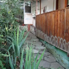Гостиница Гостевой дом Орхидея в Сочи отзывы, цены и фото номеров - забронировать гостиницу Гостевой дом Орхидея онлайн фото 18