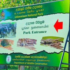 Отель Shangri-Lanka Village Бунгало Делюкс с различными типами кроватей фото 38