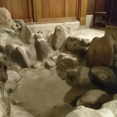 Отель Ryokan Ichinoi Минамиогуни спа