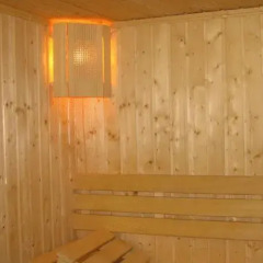 Hotel Elitza Чепеларе сауна