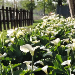Отель B&B I Prati di Varmo Прамаджоре фото 2