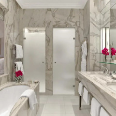 Hotel Plaza Athenee 5* Номер Делюкс фото 4