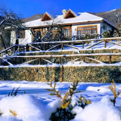 Отель Villa Mark фото 3