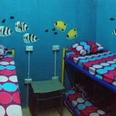 Отель Bubble Backpackers Semporna Кровать в общем номере с двухъярусной кроватью фото 5